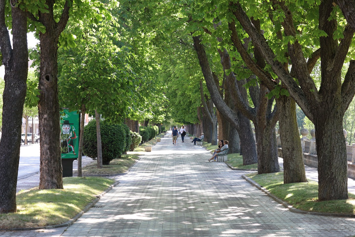 Gente relajándose en una avenida peatonal soleada con árboles frondosos.