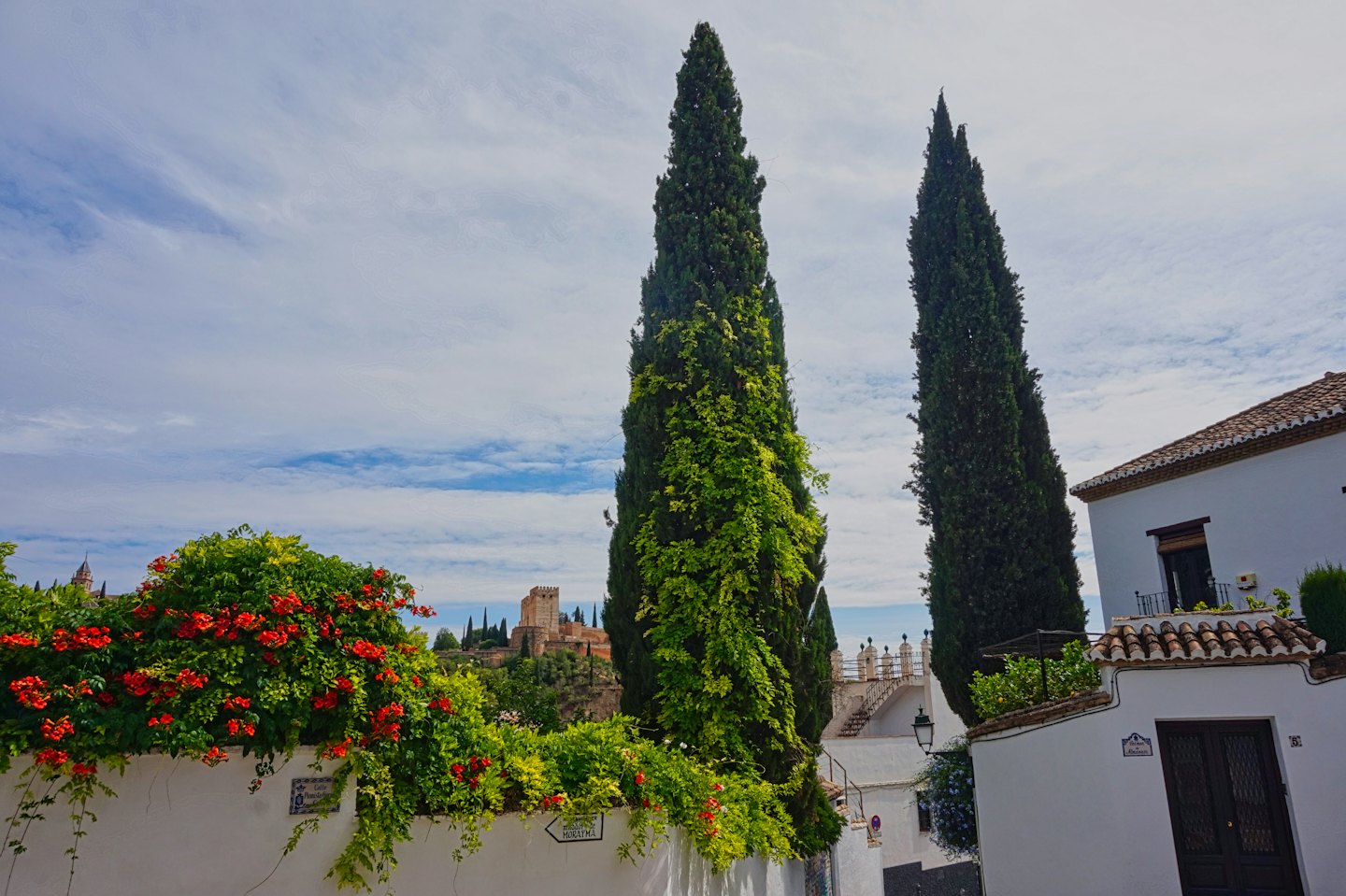 Palacio de la Alhambra tras cipreses y muro cubierto de enredaderas.